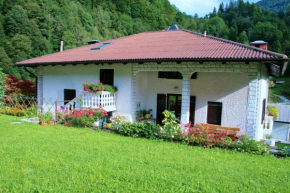 Rooms with shared kitchen Zver, great for hikers, Hudajužna